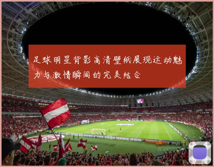 足球明星背影高清壁纸展现运动魅力与激情瞬间的完美结合