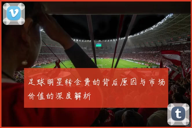 足球明星转会费的背后原因与市场价值的深度解析