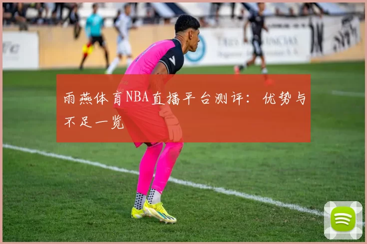 雨燕体育NBA直播平台测评：优势与不足一览