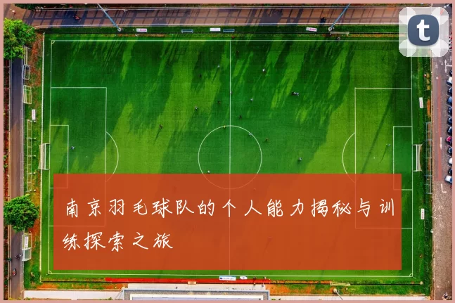 南京羽毛球队的个人能力揭秘与训练探索之旅