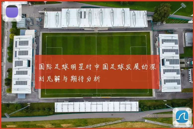 国际足球明星对中国足球发展的深刻见解与期待分析