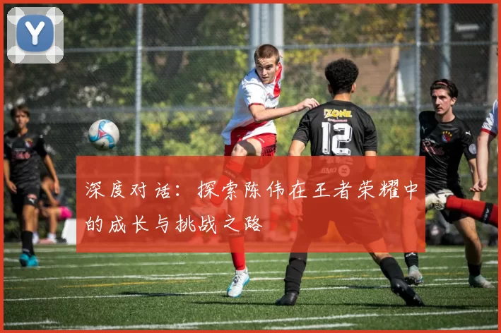 深度对话：探索陈伟在王者荣耀中的成长与挑战之路