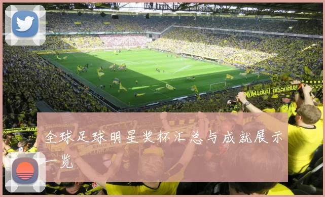 全球足球明星奖杯汇总与成就展示一览