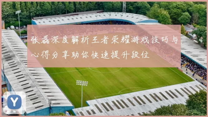 张磊深度解析王者荣耀游戏技巧与心得分享助你快速提升段位