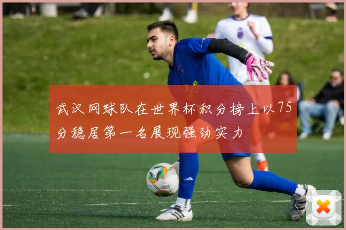 武汉网球队在世界杯积分榜上以75分稳居第一名展现强劲实力