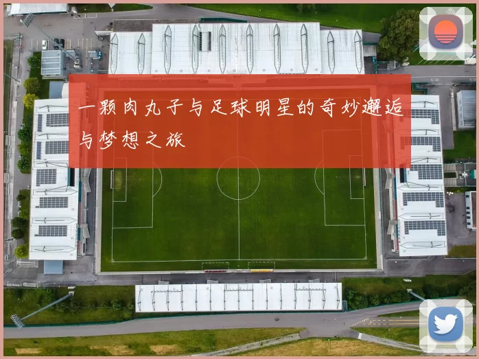 一颗肉丸子与足球明星的奇妙邂逅与梦想之旅