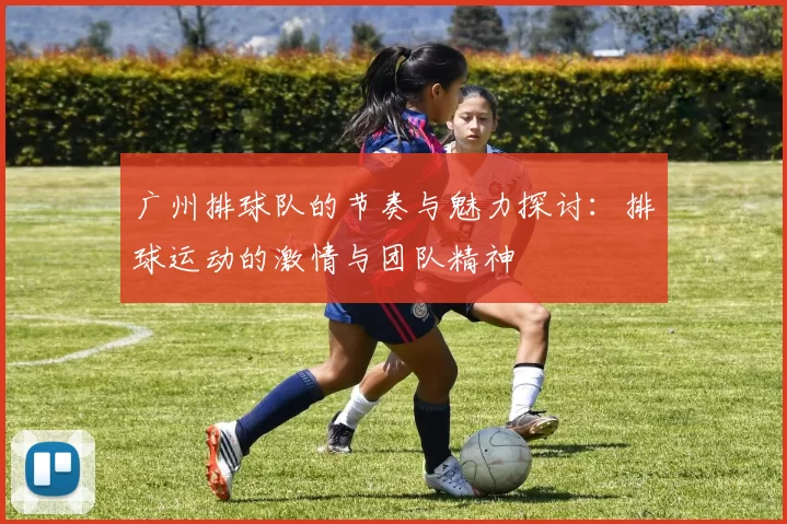 广州排球队的节奏与魅力探讨：排球运动的激情与团队精神