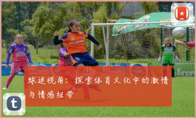 球迷视角：探索体育文化中的激情与情感纽带