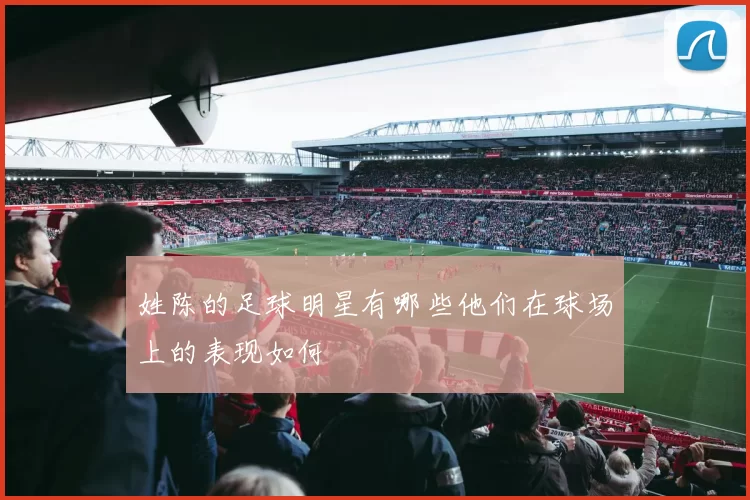 姓陈的足球明星有哪些他们在球场上的表现如何