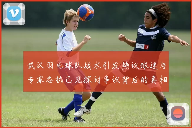 武汉羽毛球队战术引发热议球迷与专家各执己见探讨争议背后的真相