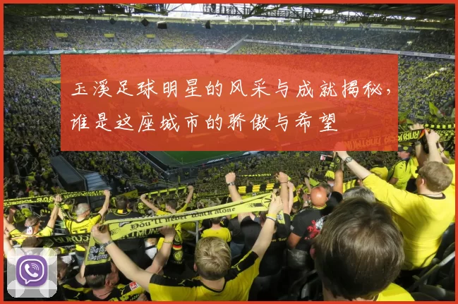 玉溪足球明星的风采与成就揭秘，谁是这座城市的骄傲与希望