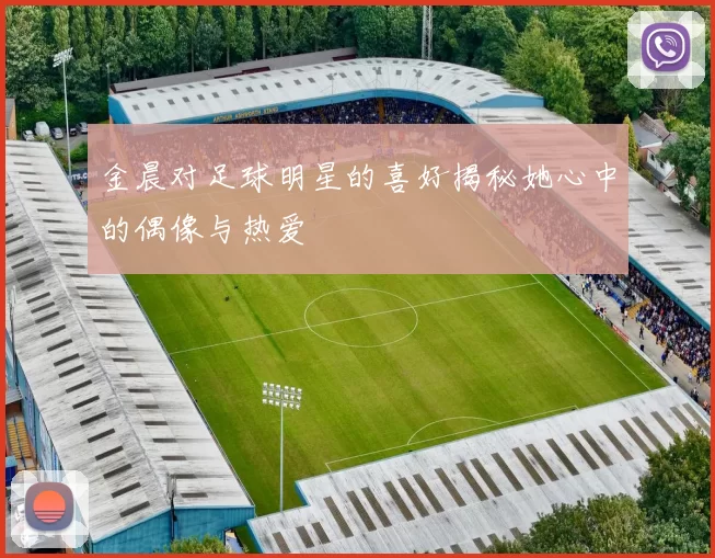 金晨对足球明星的喜好揭秘她心中的偶像与热爱