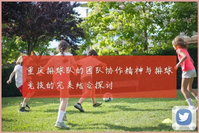 重庆排球队的团队协作精神与排球竞技的完美结合探讨