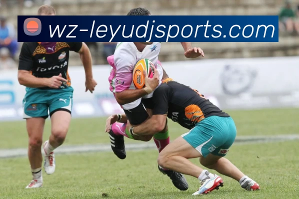 乐鱼leyu品牌故事