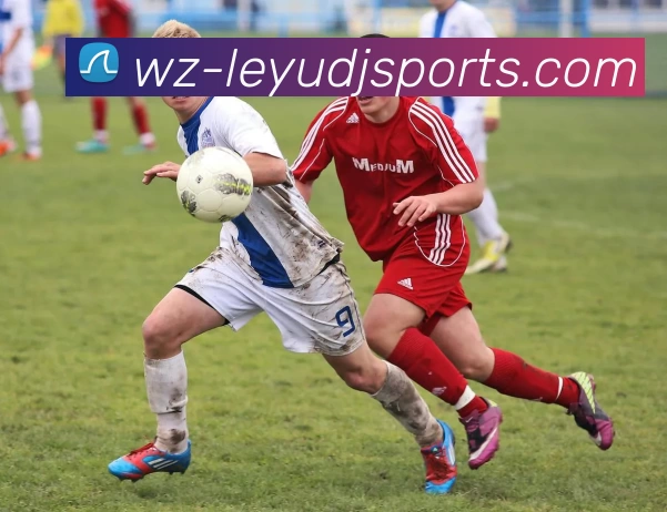 乐鱼leyu服务体系